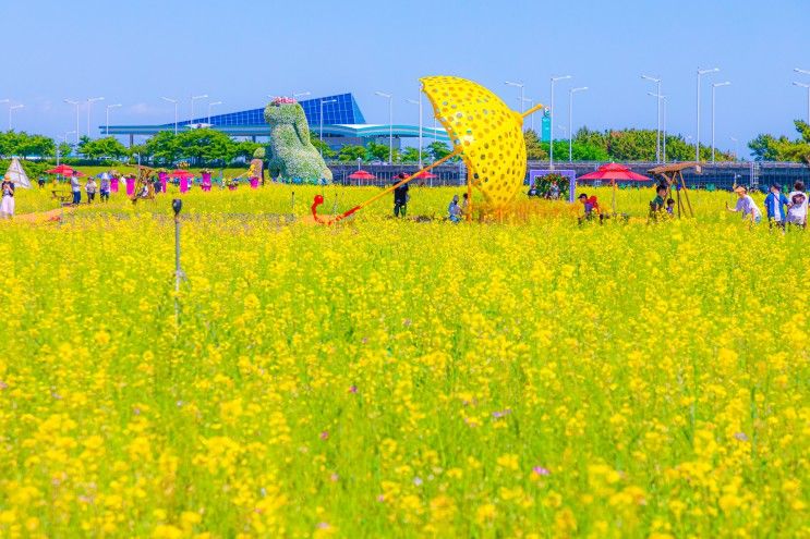 영종도 인천공항 여행 하늘정원 유채꽃 무료개방 셔틀버스...