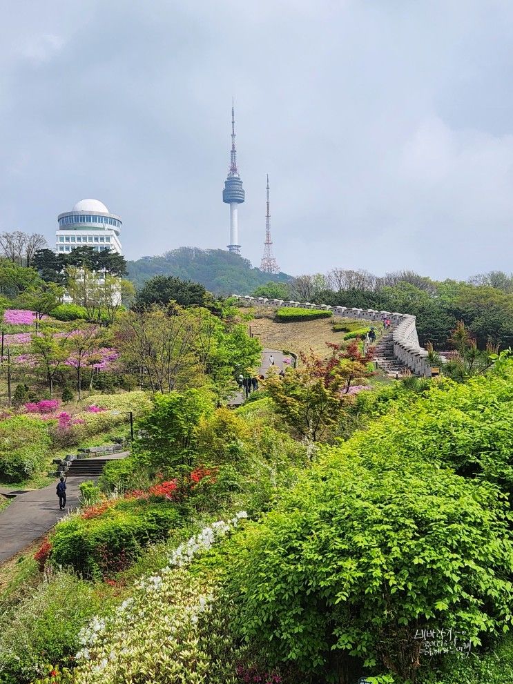 서울 남산 산책로 백범광장, 공원 성곽길, 남산 둘레길, 남산골...