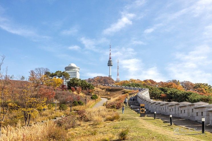 서울 단풍명소 남산공원 남산 둘레길 산책로 (백범광장 성곽길...