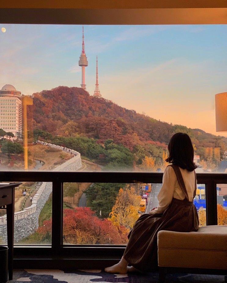 밀레니엄 힐튼 서울 남산 단풍 백범광장공원 아이랑호캉스...