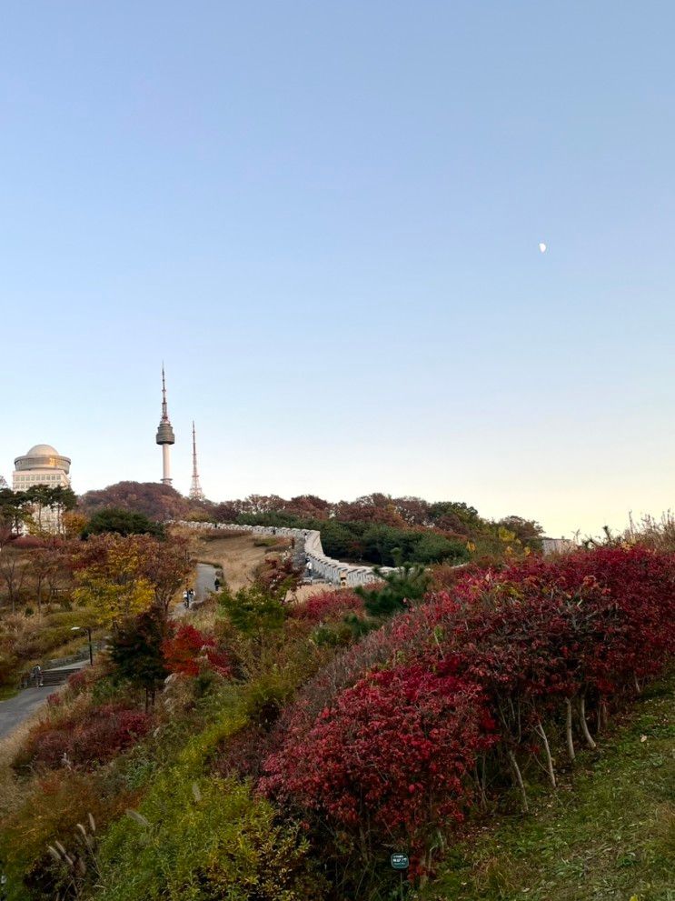 남산공원 백범광장 성곽길 가을 단풍 데이트로 좋아요