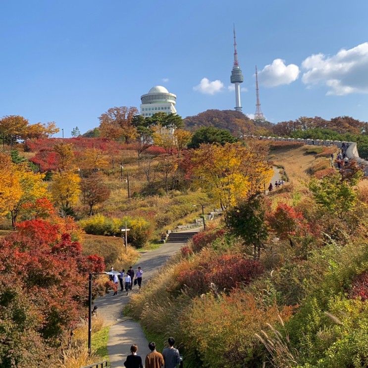 서울 단풍 명소 남산 둘레길 백범광장 공원 데이트 코스 추천