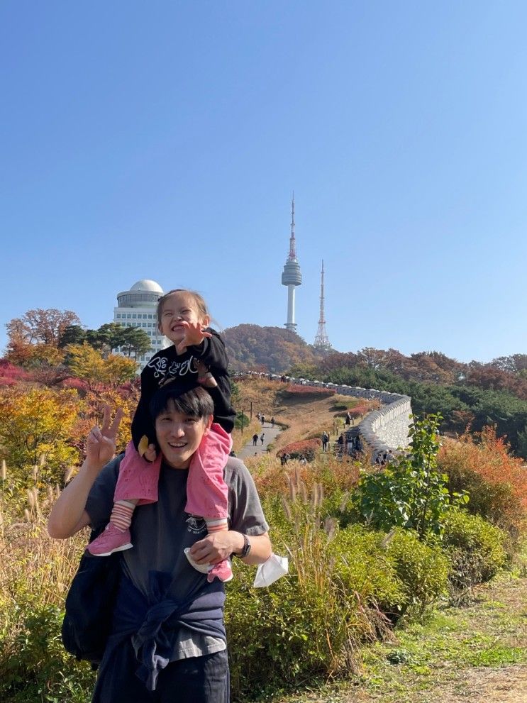 서울에서 즐기는 단풍구경 남산공원 백범광장