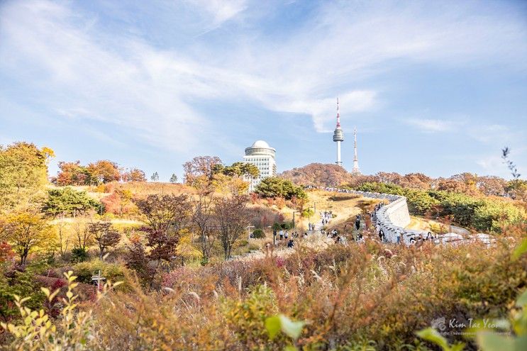 서울공원 단풍 남산 둘레길 산책 백범광장,남측순환로 코스...