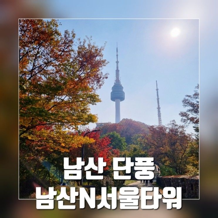 서울단풍명소 @ 남산 단풍 / 남산공원 백범광장 / N서울타워