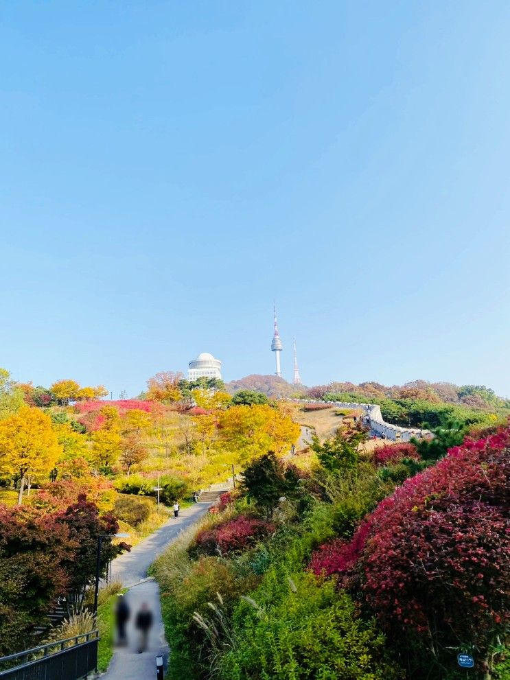 [남산공원 백범광장의 가을] 서울 단풍명소, 서울타워...