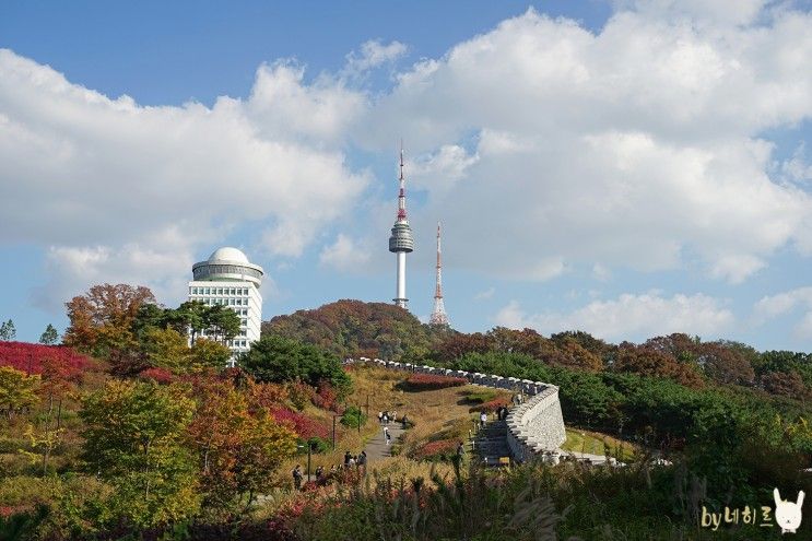 서울 남산타워 단풍 백범광장공원 산책