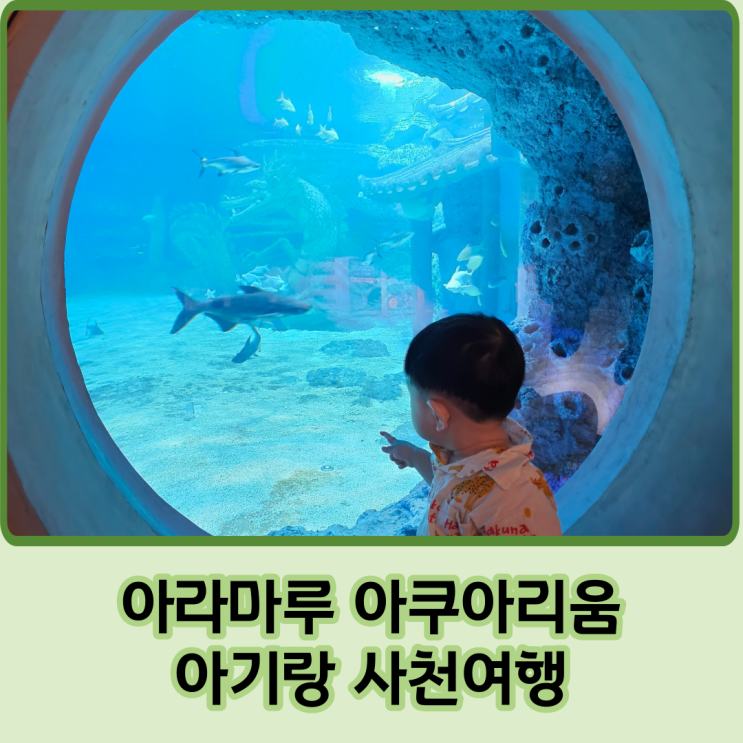 아라마루 아쿠아리움, 아기랑 사천여행-입장할인 팁