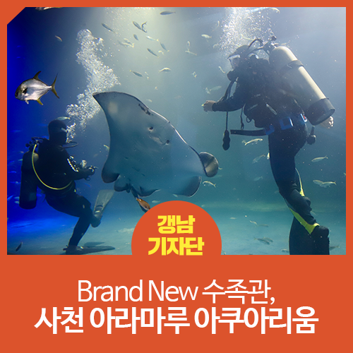 사천 랜선 여행] Brand New 수족관, 사천 아라마루 아쿠아리움