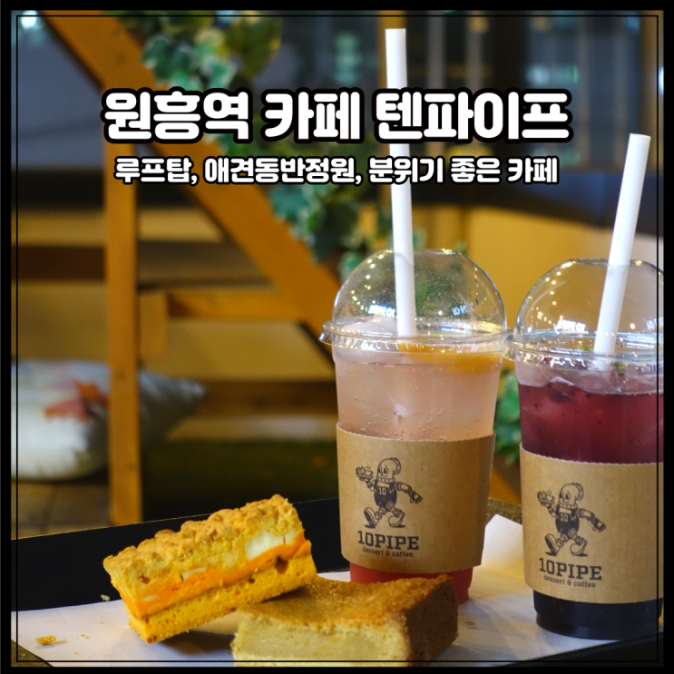 [원흥 텐파이프] 루프탑에 정원에 애견동반가능 베이커리 카페?!