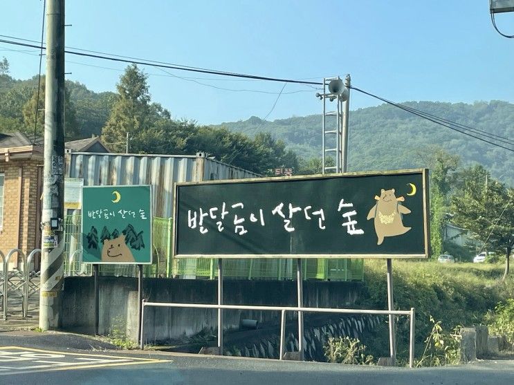 서울근교캠핑장 아이와 함께 가기좋은 화성 반달곰이살던숲