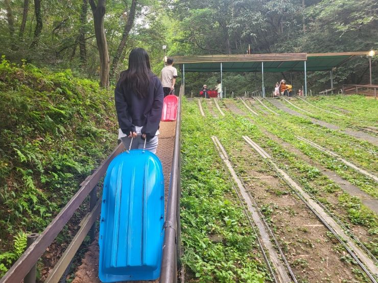 진짜 반달곰과 레일썰매가 있는 경기도 화성 반달곰이살던숲캠... 