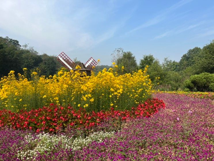 부천자연생태공원 (부천식물원, 무릉도원수목원) 나들이