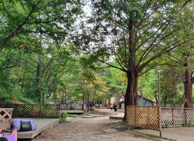 [가을캠핑] 경기도 화성 캠핑장 반달곰이살던숲, 키즈캠핑장 후기