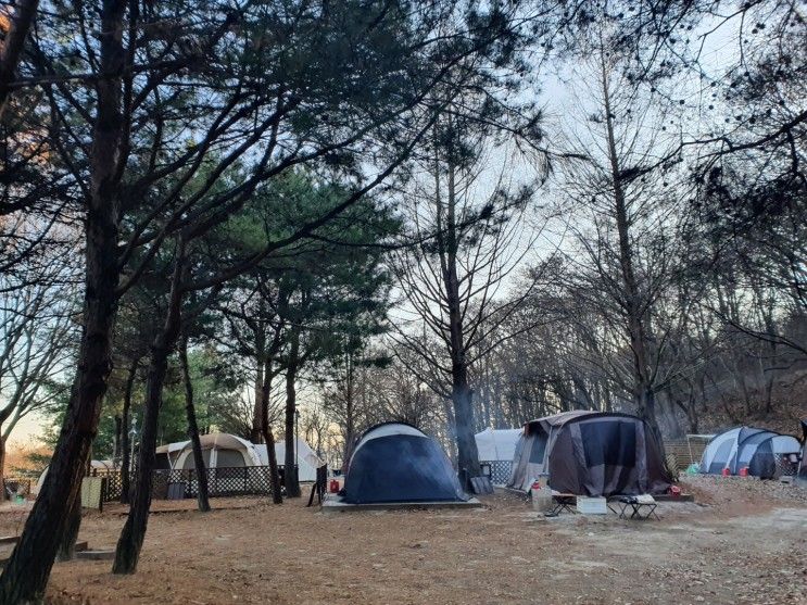 화성 반달곰이 살던 숲- 아이와 가기좋은 캠핑장