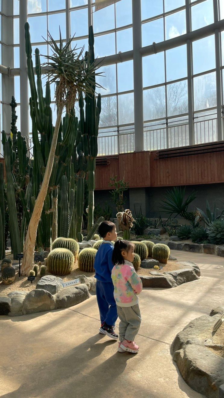 [부천] 부천식물원 부천자연생태공원 할인팁 부천 아기랑
