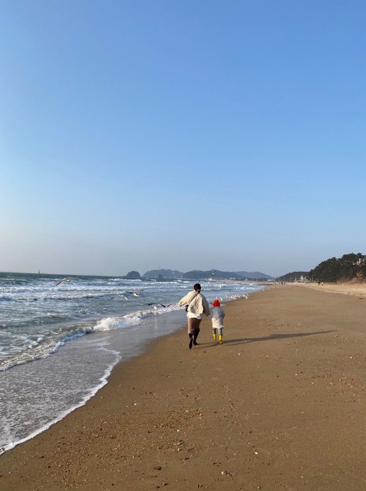 안면도 아일랜드 리솜 24평 콘도형 객실 후기 / 5세 아기랑...