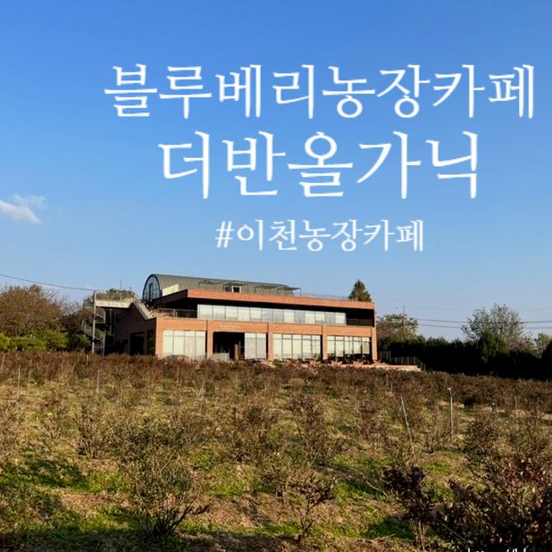 경기 이천 서울근교 드라이브 여행 브런치 카페 더반올가닉... 