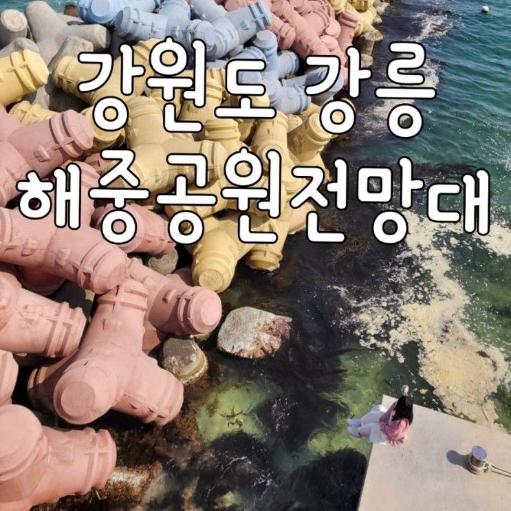 강릉 핫플 사근진해중공원 전망대 드론 없이 항공샷 가능해요