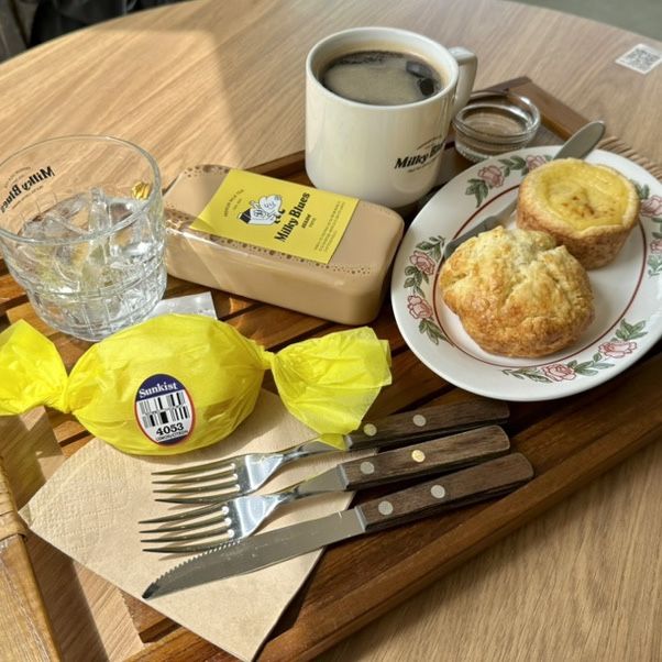 속초 교동 카페 밀키블루스 진한 밀크티와 스콘이 맛있었던 곳