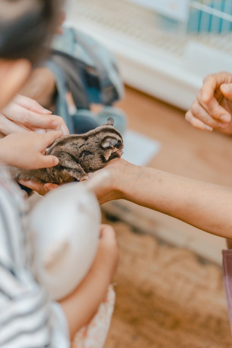 버드앤쥬 : 동물체험과 새먹이주기 -16개월아기 4살아기