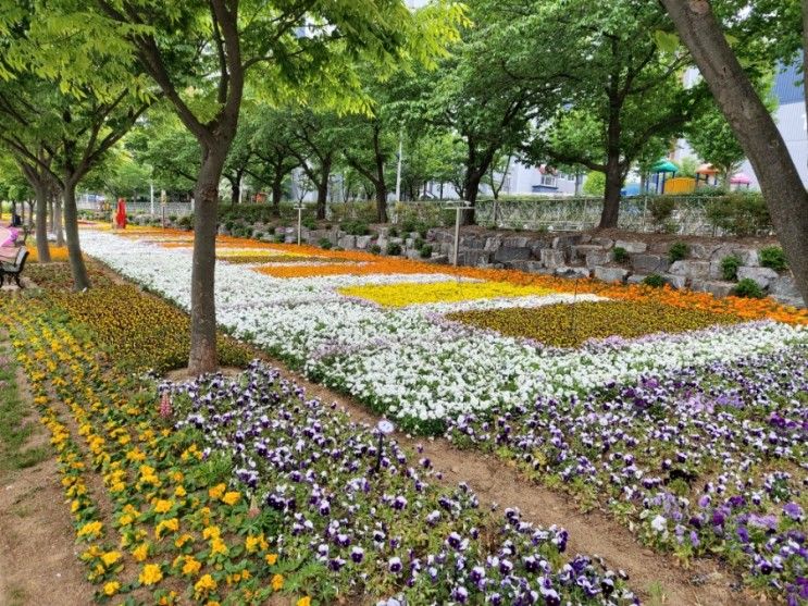 경산 '남천둔치'산책코스 추천~