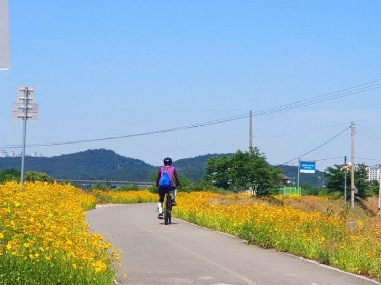 [1년 전 오늘] 경산 남천둔치 용수초군락지 트레킹하기조은곳