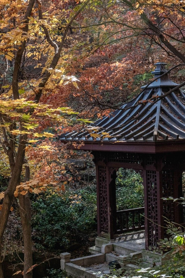 서울 단풍 명소 석파정 서울미술관 관람 할인 정보