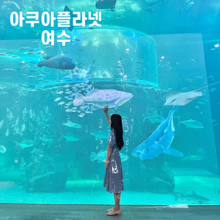 여수 여행 : 비오는날 아이들과... 좋은  아쿠아플라넷여수...