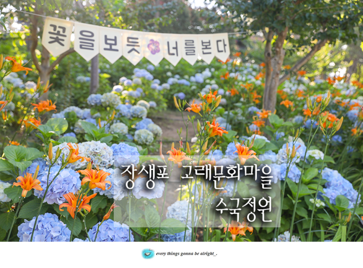 울산 수국축제 장생포 고래문화마을 수국정원 부산 근교...