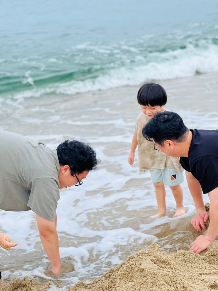 아이랑 강릉 연곡해변 바다앞 연곡솔향기캠핑장