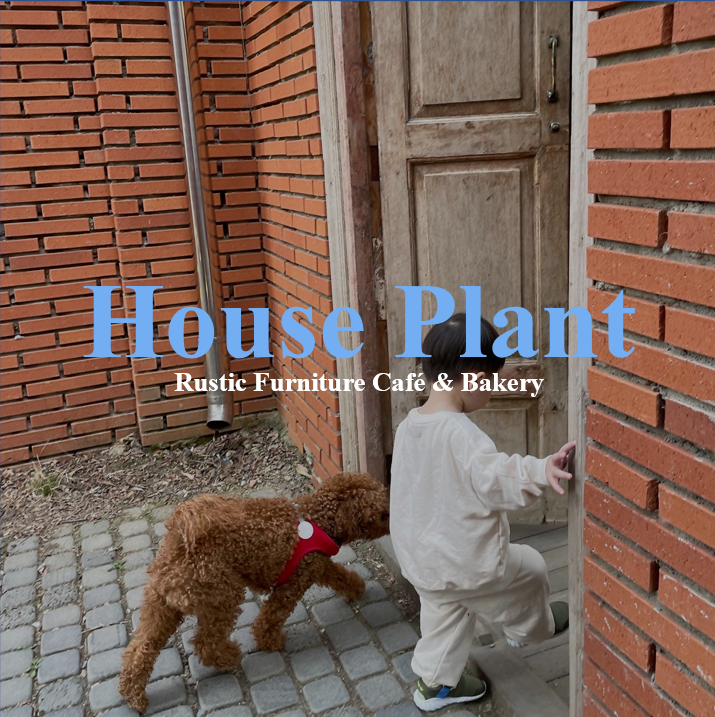 하남 미사 대형 감성 카페 하우스플랜트 HOUSE PLANT, 애견... 