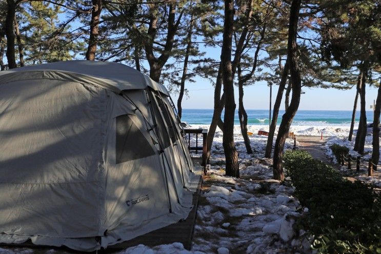 한겨울 강릉 연곡해변 솔향기캠핑장