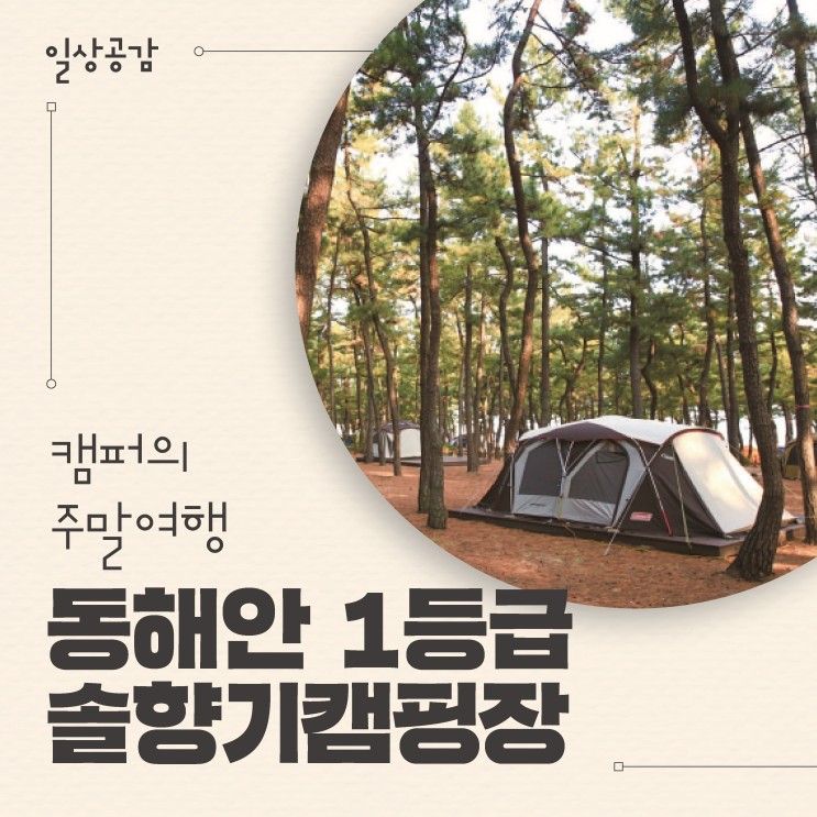 [캠퍼의 주말 여행] 강릉 연곡해변 솔향기캠핑장 캠핑 후기와...