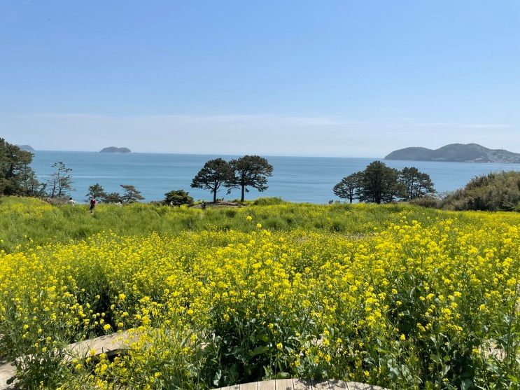 [경남/거제] 거제 2박3일여행 (공간스테이풀빌라,동부저수지...