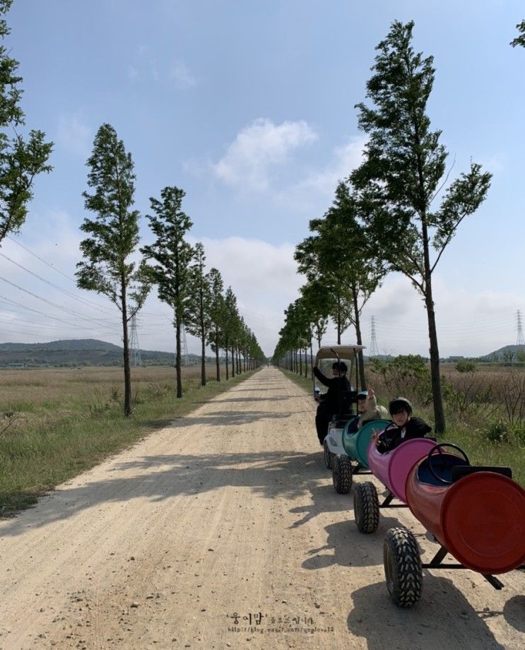 대부도 방아머리해수욕장 전동바이크 깡통열차 즐기기