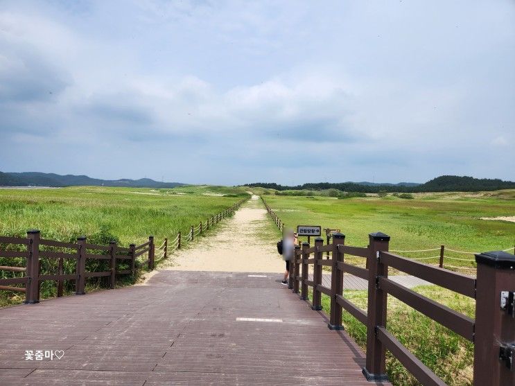 가족여행 태안 신두리 해안사구 신두리 사구센터