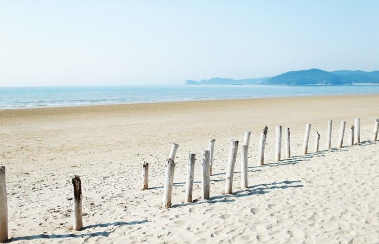 태안 신두리해안사구 풍경과 신두리해변 여행 팁