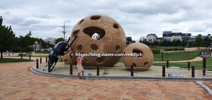 태안 신두리 사구 센터