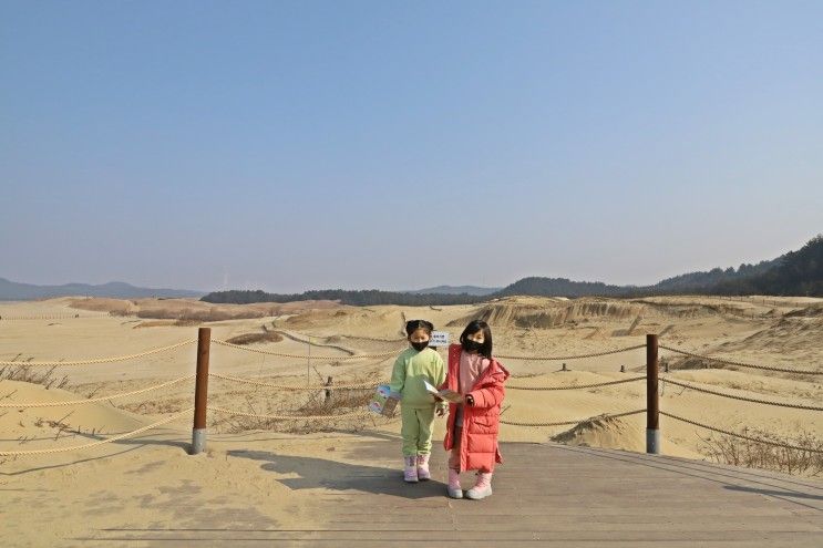 충남 태안 아이들과 가볼만한곳 신두리사구센터& 신두리 해안사구