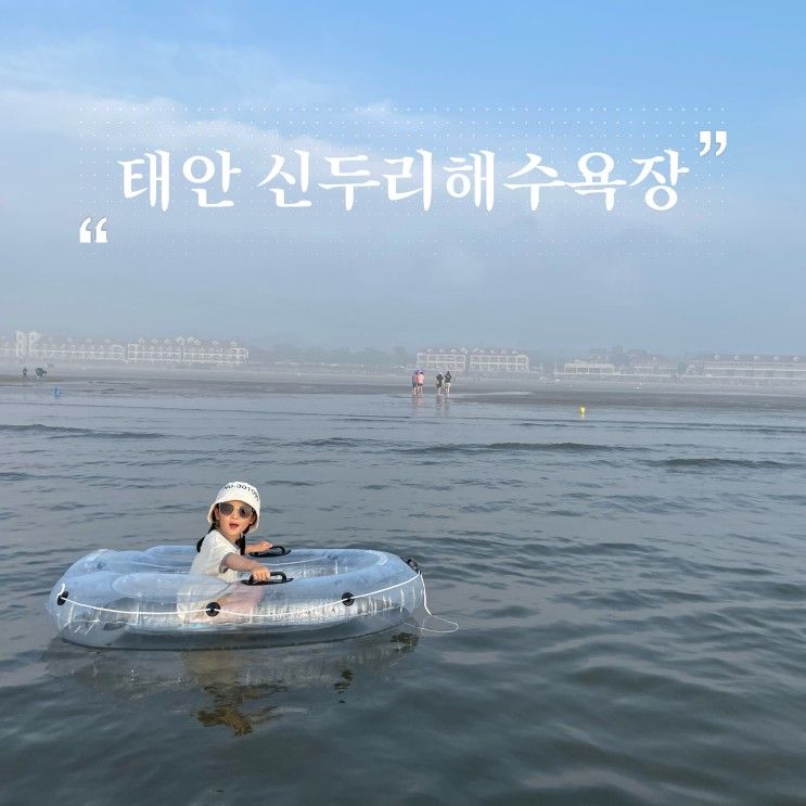 태안 물맑은 신두리해수욕장(+신두리사구센터)