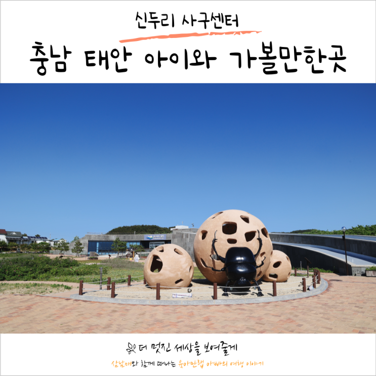충남 태안 아이와 가볼만한곳 신두리 사구센터