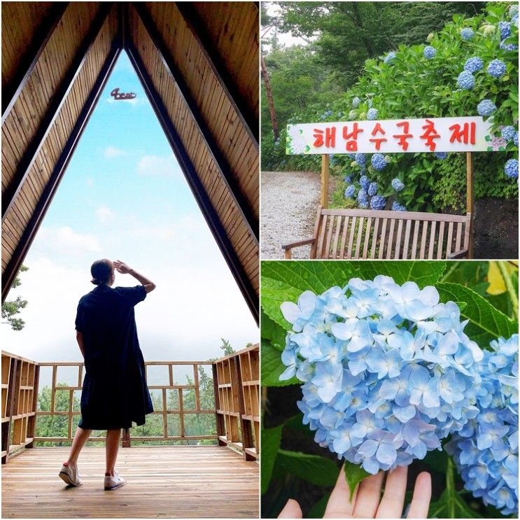 7월 꽃구경 명소 해남 수국 축제 포레스트 수목원