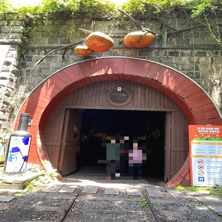 1905년 개통된 경부선 열차 터널의 변신 청도 와인터널