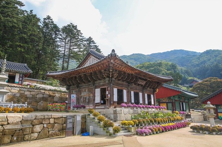 경기도 가볼만한곳 여행 계곡을 품고 있는 파주 보광사 나들이