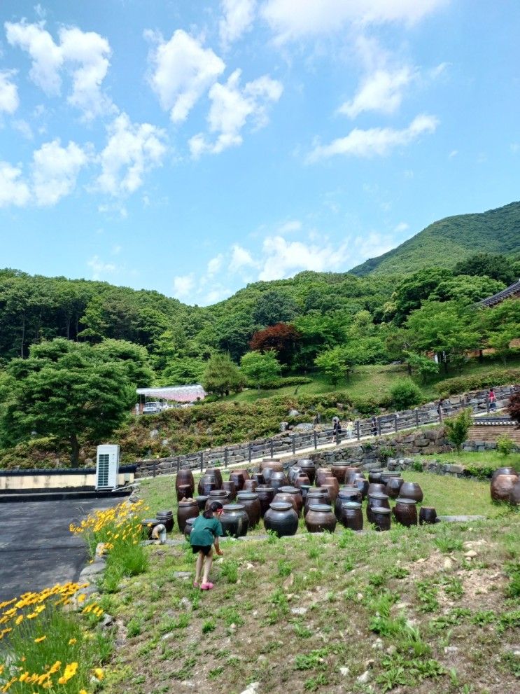 서울근교 아이들과 가볼만한 곳 파주 보광사 산책 후 계곡에서...