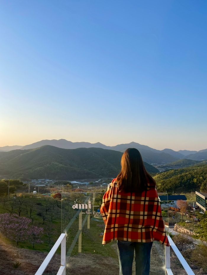 경북 청도 산 중턱 마운틴뷰 애견 동반 카페 추천 : 아미꼬뜨