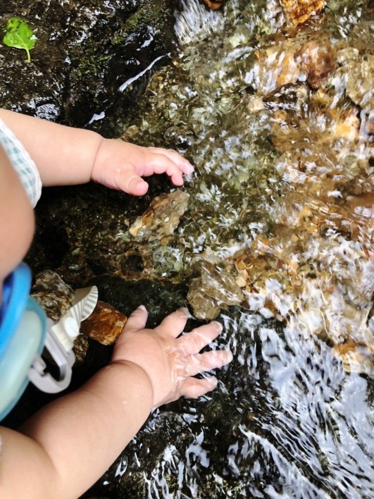 [파주/고양] 서울근교 당일치기 계곡 여행 - 파주 보광사 계곡...