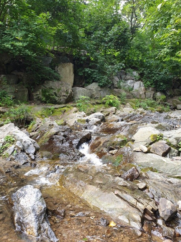 파주 보광사 계곡 아이와 가볼만한 곳