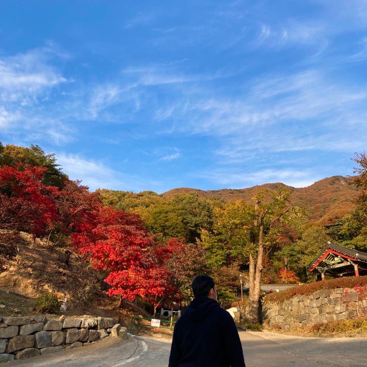 파주 보광사 산책 계곡 등산 아이랑 물놀이 하기 좋은곳 서울...